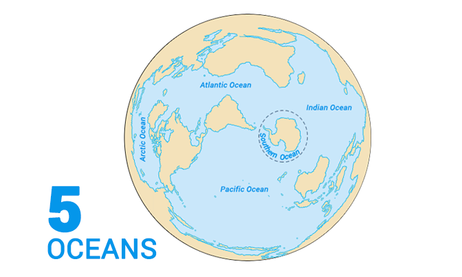 Which ocean is it?